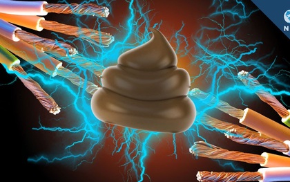 Vài năm nữa chúng ta sẽ dùng phân người thay cho xăng