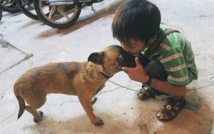 Cậu bé bán vé số và chú chó què: "Milu là em út của em, em thương nó lắm!