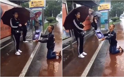 Đây chính là màn cầu hôn lâm ly bi đát nhưng vô dụng nhất quả đất