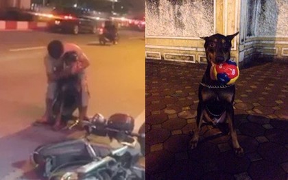 Chủ chú chó Doberman bị đâm: "May mắn chó của tôi qua khỏi rồi, còn kẻ đã đâm nó thì tôi không muốn gặp"