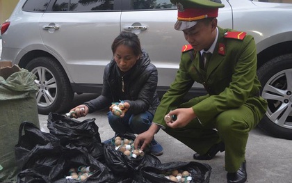 Hà Nội: Bắt giữ 750 quả pháo nổ trong bao tải dùng để bán vào dịp Tết