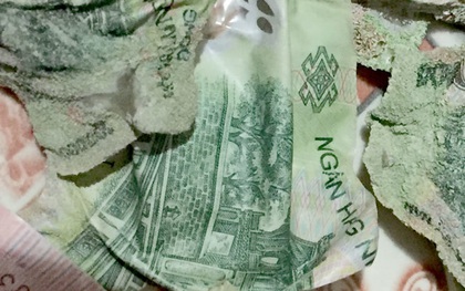 Hưng Yên: Đi toi 30 triệu đồng vì nhờ con gái sấy tiền cho khô