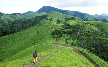 Trekking và cắm trại ở đồi Tà Năng: Đi để thấy mình còn trẻ và còn nhiều nơi phải chinh phục!