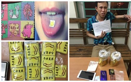 Bộ Công an chỉ đạo truy quét ma túy "bùa lưỡi"