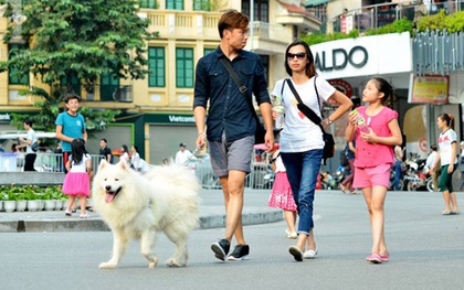 Chó không rọ mõm được thả rông khắp phố đi bộ: "Người và nhất là trẻ em phải được ưu tiên chứ không phải chó"