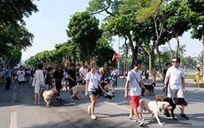Hà Nội cấm chó không rọ mõm vào phố đi bộ quanh hồ Gươm