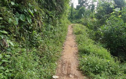 Thảm sát 4 người ở Lào Cai: 200 cảnh sát truy bắt hung thủ trong mưa lớn