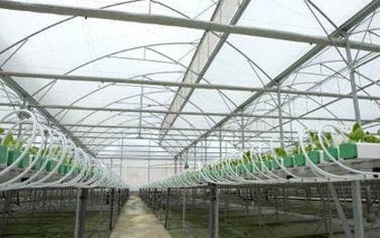 “Mục sở thị” công nghệ nông nghiệp đỉnh cao của Israel tại VinEco