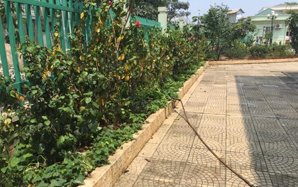 Hà Nội: Trường "dọa" đuổi học sinh nếu phụ huynh trộm rau
