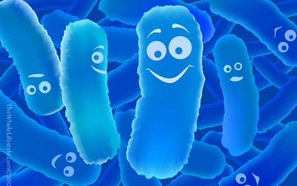 Danh sách thuốc bổ "vô dụng" và bổ thật do các chuyên gia Mĩ công bố