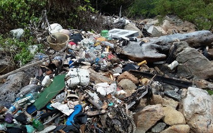 Rác tràn ngập Côn Đảo, kiểm lâm dọn không xuể!