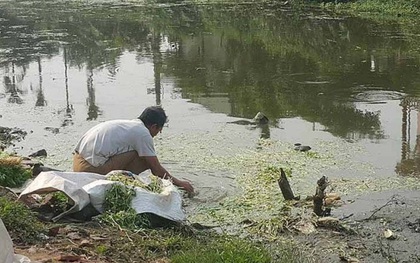 Người dân bịt khẩu trang rửa rau ở rãnh nước… thải đầy phân: Địa phương chưa có chế tài xử lý
