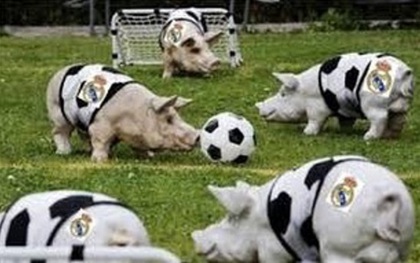 Huyền thoại Barca ví Real Madrid với... bầy heo