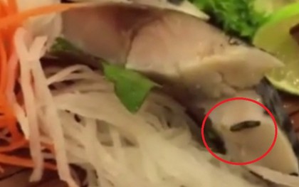 Hoảng hồn phát hiện 2 món ăn có sâu trong nhà hàng đồ ăn Nhật ở Hà Nội