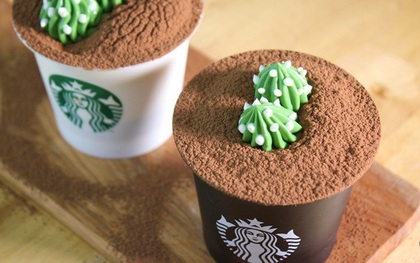 Cốc Starbucks ngon lành này thực ra lại là pudding tiramisu cơ