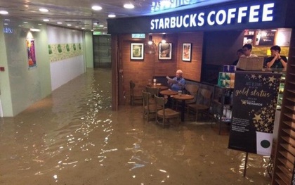 Ông chú Starbucks: Nước lũ có ngập tới rốn thì vẫn phải đọc xong tờ báo đã