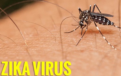 Thêm 1 bệnh nhi nhiễm virus Zika
