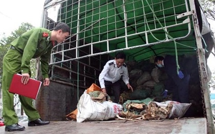 Hơn 6 tấn xương động vật hôi thối chuẩn bị vào Hà Nội