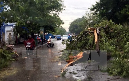 Thừa Thiên-Huế: Mưa lớn kèm lốc xoáy, một phụ nữ mất tích