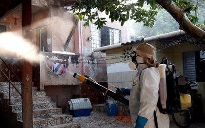 Brazil ghi nhận 91.000 ca nhiễm mới virút Zika