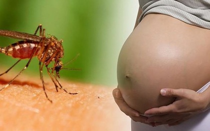 Việt Nam ghi nhận thêm 2 phụ nữ nhiễm virus Zika, trong đó có 1 người đang mang thai