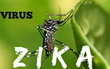 Bộ Y Tế: Người nhiễm Zika chỉ sốt nhẹ, nhẹ hơn sốt xuất huyết!