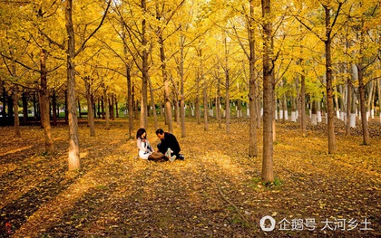 Thấy người đàn ông mờ ám, chụp hình cô gái trẻ trong rừng, nhiếp ảnh gia tiến lại hỏi mới biết được sự thật