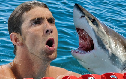 Siêu kình ngư Michael Phelps chỉ bơi kém cá mập đúng 2 giây