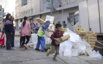 Người dân Hong Kong nô nức rủ nhau ra bãi rác "hôi" 700 thùng khoai tây chiên quá hạn sử dụng