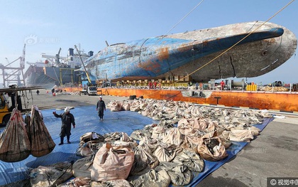 Những di vật được tìm thấy trong xác phà Sewol sau 3 năm chìm dưới đáy đại dương