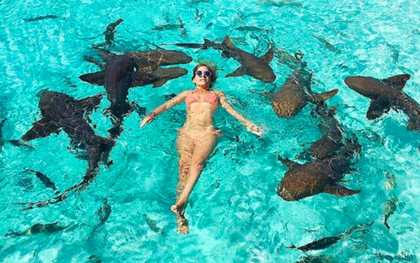 Mặc bikini tạo dáng cùng bầy cá mập, "ngôi sao du lịch" xinh đẹp nhận về cái kết đắng