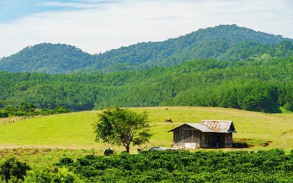 Top 5 điểm phượt, "săn" ảnh không thể bỏ qua của giới trẻ