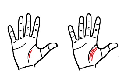 Số đường chỉ tay ảnh hưởng phản ánh điều gì về tình trạng các mối quan hệ của mỗi người