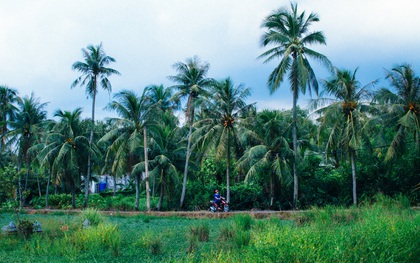 Chùm ảnh: Cuộc sống ở bán đảo Thanh Đa - Một miền nông thôn tách biệt dù chỉ cách trung tâm Sài Gòn vài km