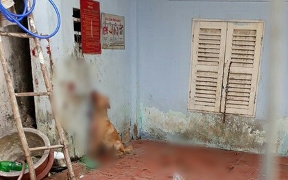 Giận hờn, nam thanh niên ở Sài Gòn tra tấn dã man chú chó của bạn để trả thù