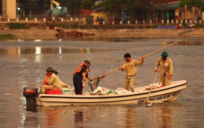 Hà Nội: Đúng 1 năm sau sự cố, cá lại chết nổi trắng mặt hồ Hoàng Cầu