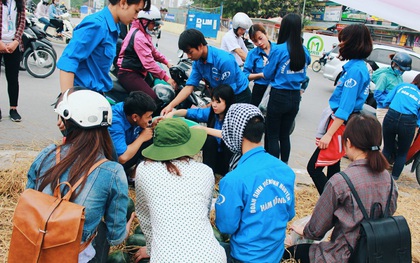 Thương người dân Quảng Ngãi đổ dưa hấu cho bò ăn, người Hà Nội ra tay "giải cứu"