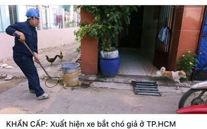 Xuất hiện thông tin bịa đặt "Xe bắt chó giả ở TP HCM" khiến nhiều người hoang mang