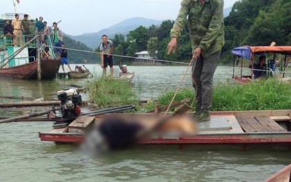 Hòa Bình: Nam thanh niên chết trong tư thế đầu chúc xuống nước, người trên thuyền
