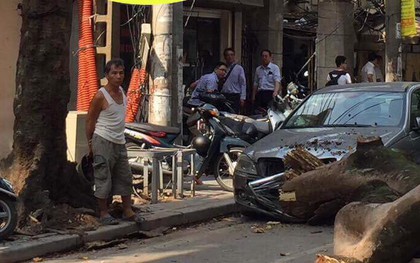 Hà Nội: Nữ tài xế vừa bước ra khỏi xe chưa đầy 10 giây, chiếc Mercedes đã bị cây lớn đè bẹp đầu