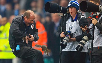Chú sóc bướng bỉnh gây náo loạn trước trận đấu của Man City