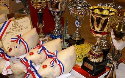 Thịt gà thượng hạng bậc nhất thế giới, giá tới 1,1 triệu/kg: Ăn uống cầu kỳ, chuồng nuôi rộng tới 10m2