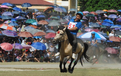 Bất chấp cái nóng 40 độ C, hàng nghìn người dân đội nắng xem đua ngựa ở Bắc Hà