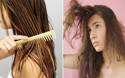Những kiểu chải tóc ai cũng mắc phải khiến tóc càng ngày càng chẻ ngọn
