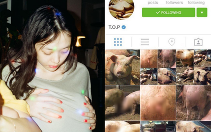 Top 9 thần tượng Kpop kỳ lạ, gây sốc nhất trên Instagram