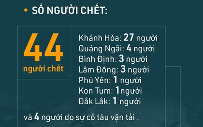 INFOGRAPHIC: Nhìn lại những con số thiệt hại nặng nề sau khi bão Damrey càn quét