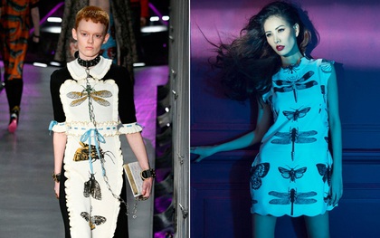 Tư tưởng lớn gặp nhau: Gucci "đụng" ý tưởng từ 4 năm trước của NTK Công Trí trong BST mới nhất