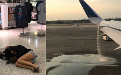 Cứu hãng United Airlines thoát khỏi thảm họa, cặp vợ chồng trẻ nhận “hậu tạ” không ngờ