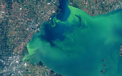 Hồ nước biến thành màu xanh tuyệt đẹp sau hơn nửa thế kỷ, nhưng đó lại là tin cực kỳ không tốt