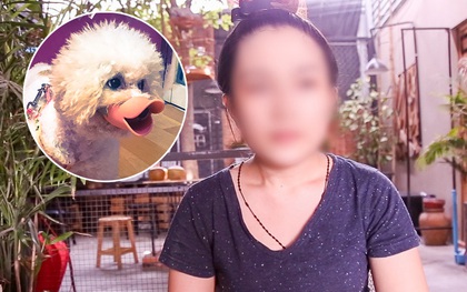 Clip người Sài Gòn nói về việc tiêu hủy chó thả rông nếu chủ nhân không đến nhận sau 72 giờ: Ủng hộ quy định nhưng cần hành động nhân văn